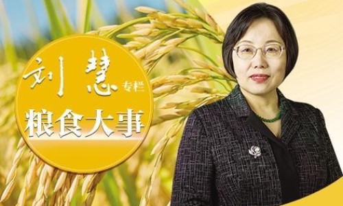 成品海苔的吃法和做法-海苔食用方法专区_海苔吃法实用大全专区_成品海苔的吃法网