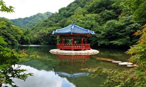 成品海苔的吃法和做法-海苔食用方法专区_海苔吃法实用大全专区_成品海苔的吃法网